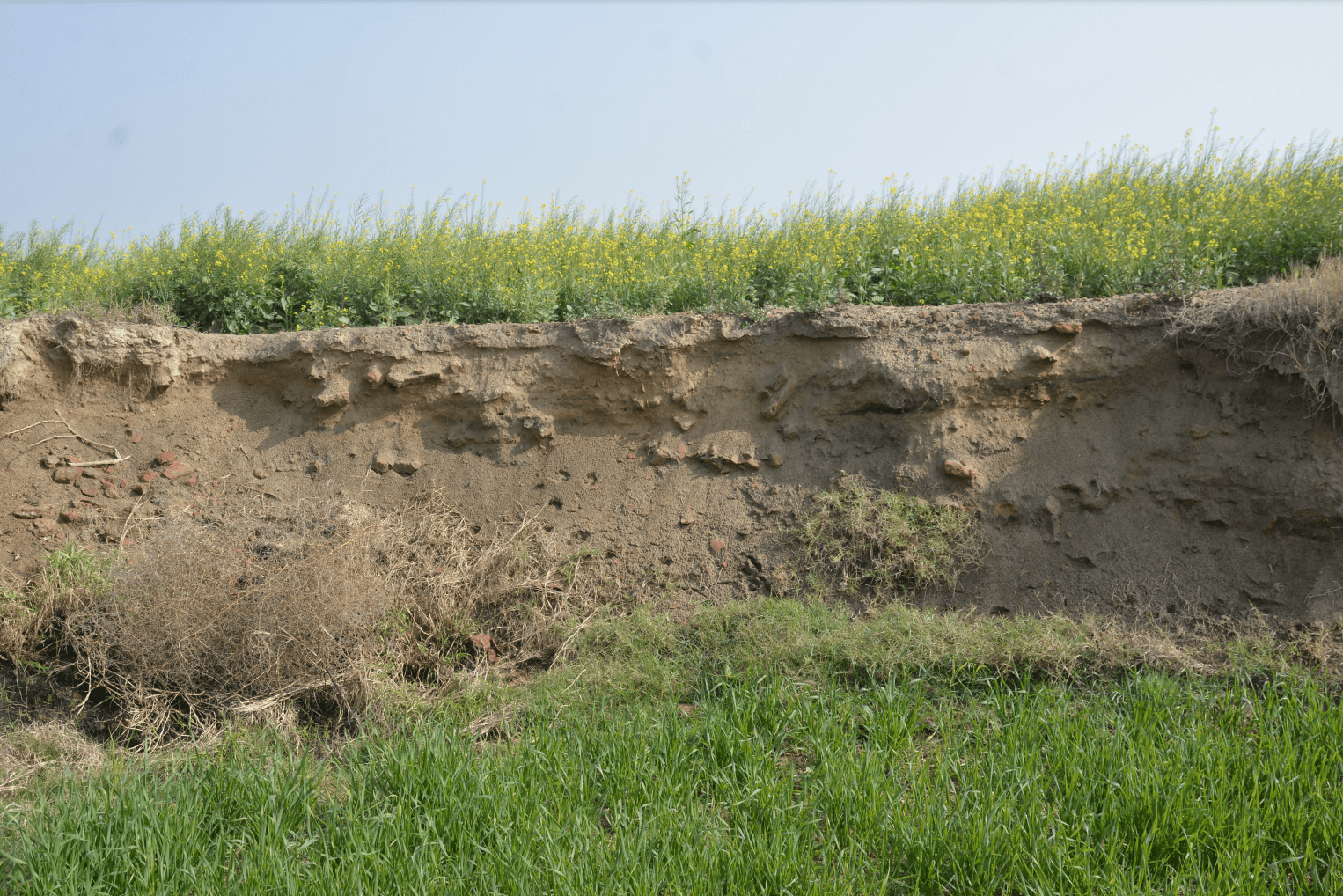 Ancient Mound Karan Kot, Fatehabad