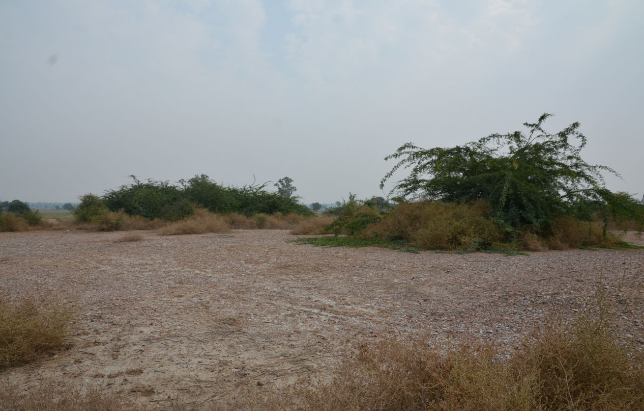 Ancient Mound Balu, Kaithal