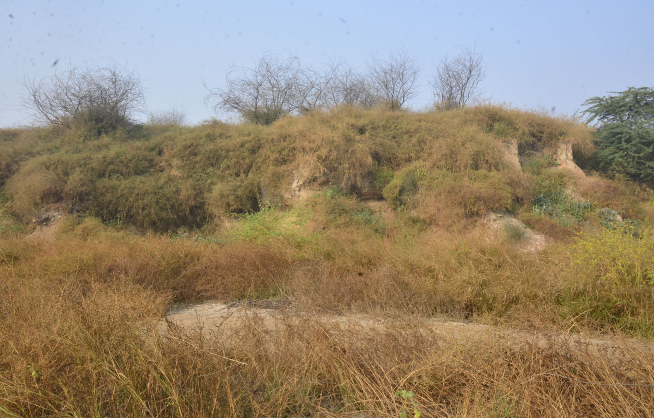 Ancient Mound of Kachi Khera, Hodal, Palwal