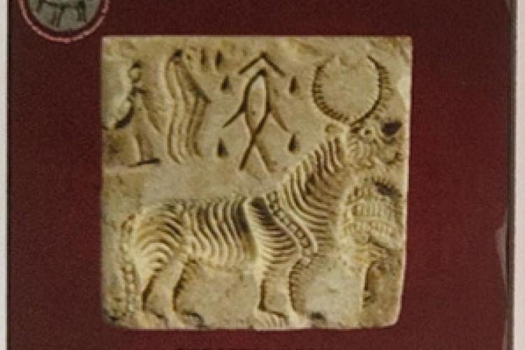 Harappan Seal Fatehabad