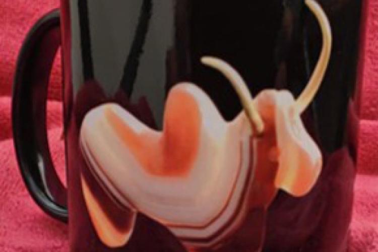 Harappan Bull With Gold Horn Cup (Black)