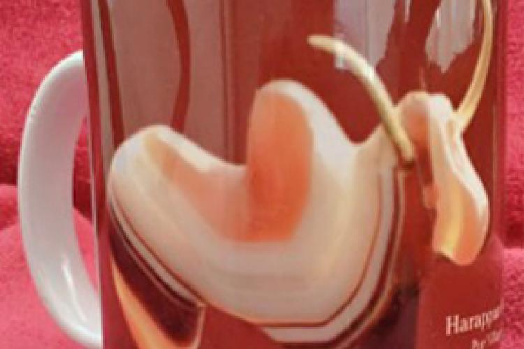 Harappan Bull With Gold Horn Cup